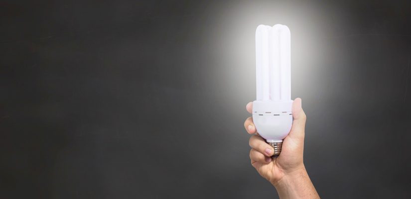 Using Successful Sustainable Products